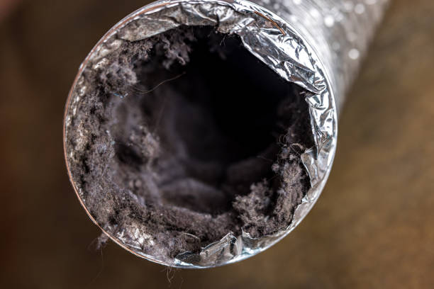 Best Local Air Duct Cleaning Services  in Columbus, MS
